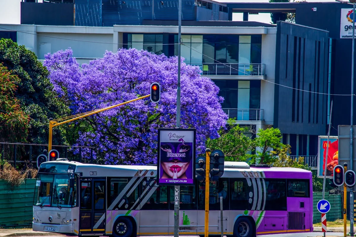 Pretoria Cultural Discovery tour